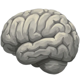 MB speaker avatar: a hand-drawn grey human brain (a meatbrain)